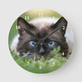 Niedliches Siamese Cat Foto Runde Wanduhr