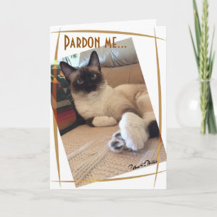 Niedliches Siamese Kitten Nah-up Fotograf Custom Karte