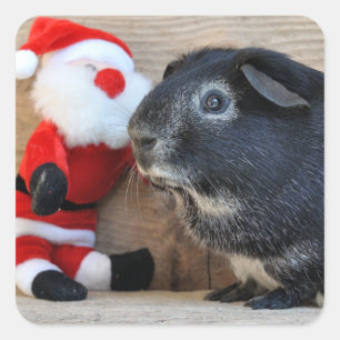 Niedliches silberner Fox-Meerschweinchen und Quadratischer Aufkleber