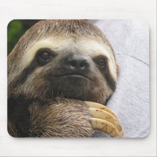 Niedliches Sloth-Gesicht Mousepad