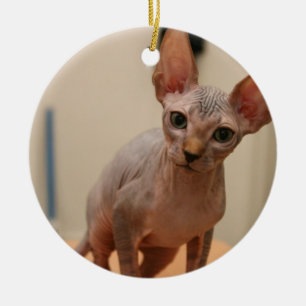 Niedliches sphynx Kätzchen "ich bin furless, sind Keramikornament