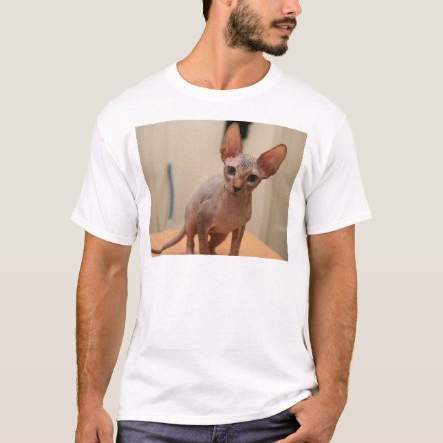 Niedliches sphynx Kätzchen "ich bin furless, sind T-Shirt (Vorderseite)