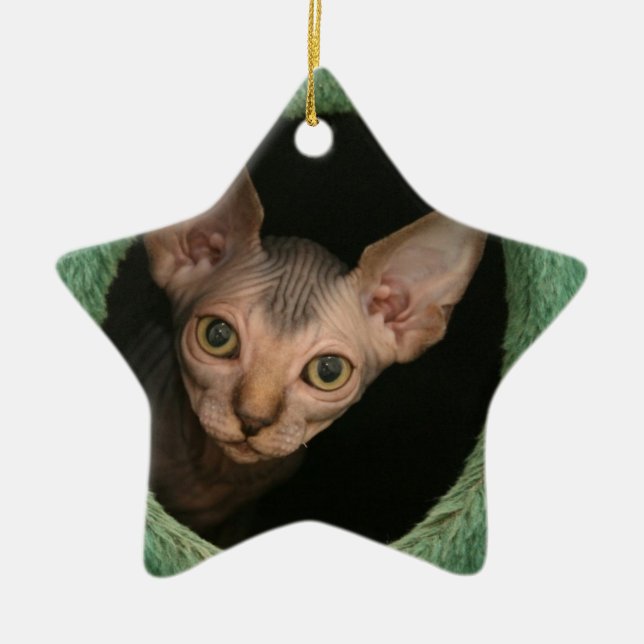 Niedliches sphynx Kätzchen Keramik Ornament (Vorne)
