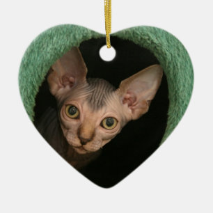 Niedliches sphynx Kätzchen Keramikornament