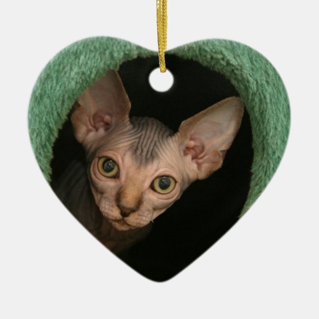 Niedliches sphynx Kätzchen Keramikornament (Vorne)