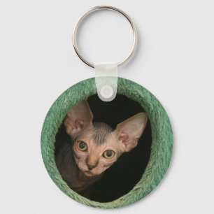 Niedliches sphynx Kätzchen Schlüsselanhänger