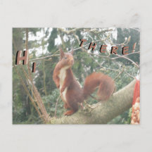 Niedliches Stehendes Eichhörnchen HELLO Postkarte