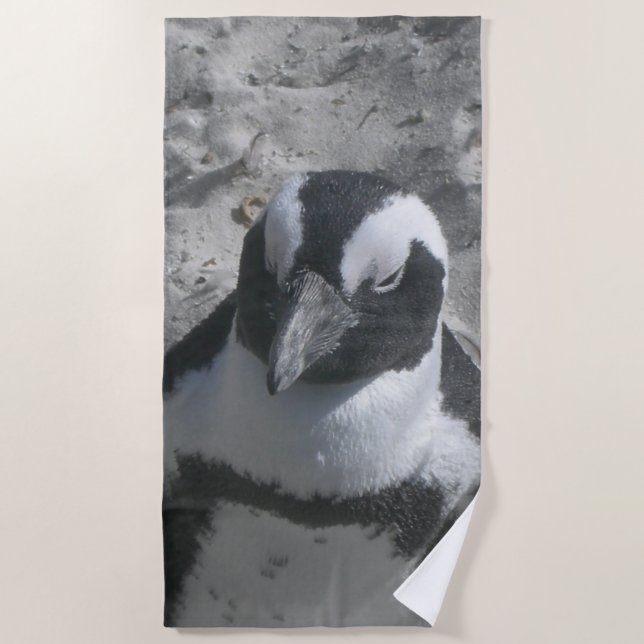 Niedliches Südafrikanisches Pinguin-Badetuch Strandtuch (Vorderseite)