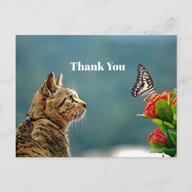 Niedliches Tabby Cat Butterfly Foto Vielen Dank Postkarte (Vorderseite)