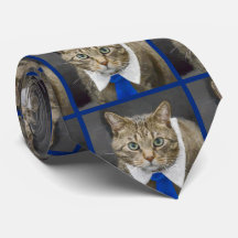 Niedliches Tabby Katze Brown mit blauer Krawatte