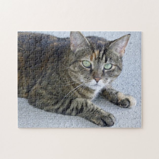 Niedliches Tabby-Katzen-Foto Puzzle (Horizontal)