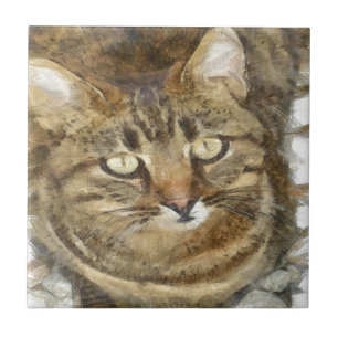 Niedliches Tabby mit Blick auf die Stift Fliese