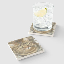 Niedliches Tabby mit Blick auf die Stift Steinuntersetzer