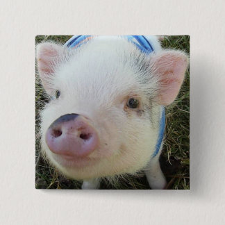 Niedliches Topf-Bauch-Schwein Button