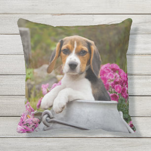 Niedliches Tricolor Beagle-Hundewelpen-Butterfaß - Kissen