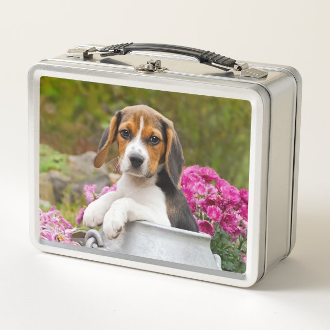 Niedliches Tricolor Beagle-Hundewelpen-Haustier in Metall Lunch Box (Vorderseite)