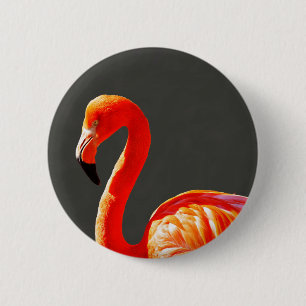 Niedliches tropisches, hellrosa Flamingo Button