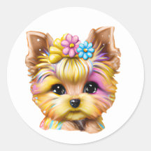Niedliches und Adorable Baby Yorkie