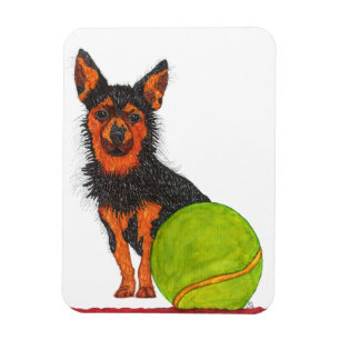 Niedliches und Adorable Chorkie Dog Magnet 3"x4"