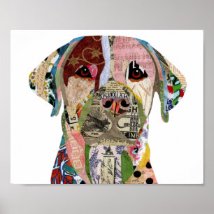 Niedliches und farbenfrohes Labrador Retriever Pos Poster