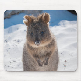 Niedliches und glückliches Quokka am Strand Austra Mousepad