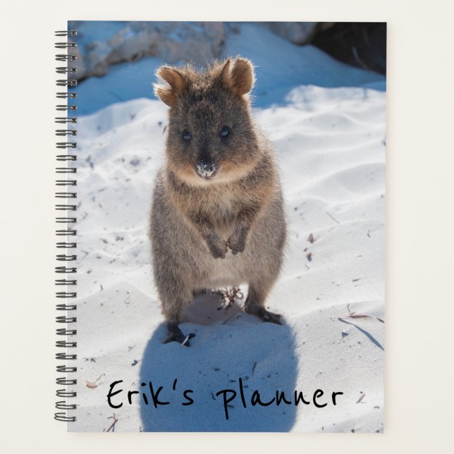Niedliches und glückliches Quokka am Strand Austra Planer (Vorderseite)