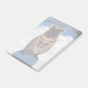 Niedliches und glückliches Quokka am Strand in Au Post-it Klebezettel