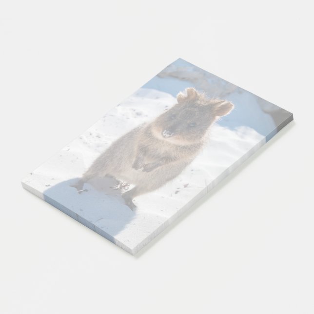 Niedliches und glückliches Quokka am Strand in Aus Post-it Klebezettel (angewinkelt)