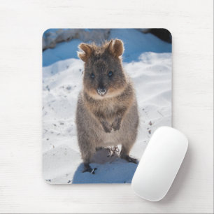 Niedliches und glückliches Quokka auf dem Strand v Mousepad