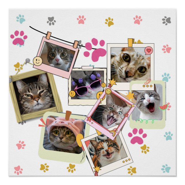 Niedliches und lustiges Katzendesign Poster (Vorderseite)