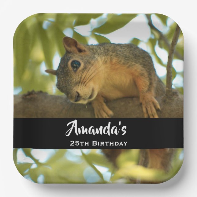 Niedliches und merkwürdiges Eichhörnchen Natur Fot Pappteller (Vorderseite)