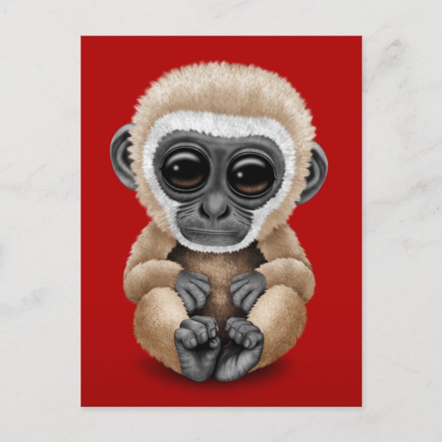 Niedliches und neugieriges Baby Gibbon auf Red Postkarte (Vorderseite)
