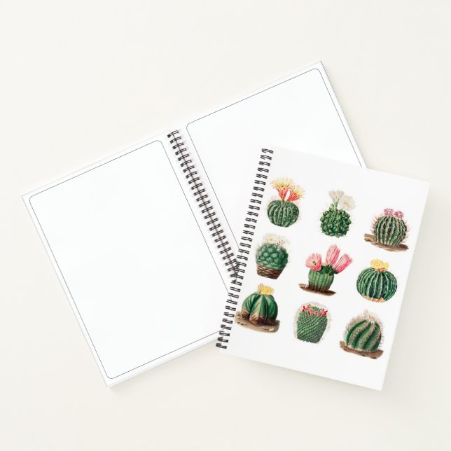 Niedliches Vintages Cacti Succulents Sketchbook Notizbuch (Innenseite)