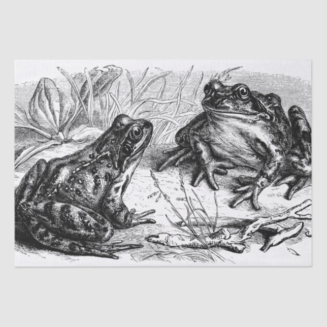 Niedliches Vintages Frosch-Party Seidenpapier (Vorderseite)