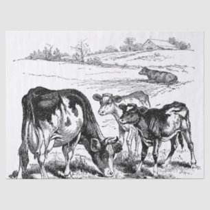 Niedliches Vintages Kuhgewebe im Party Seidenpapier