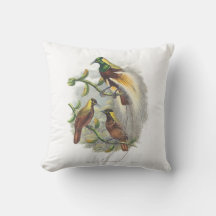 Niedliches Vogelpolster