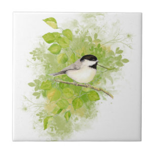 Niedliches Wasserbad Chickadee Bird in Poplar Tree Fliese