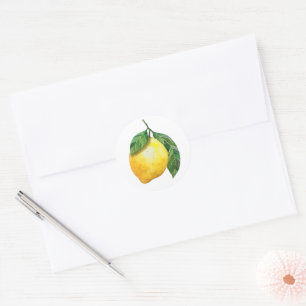 Niedliches Wasserfarben-Limonen-Motiv Runder Aufkleber