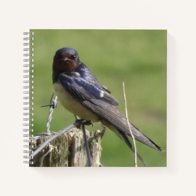 Niedliches Watching Barn Swallow Vogelbeobachtung  Notizbuch (Vorderseite)