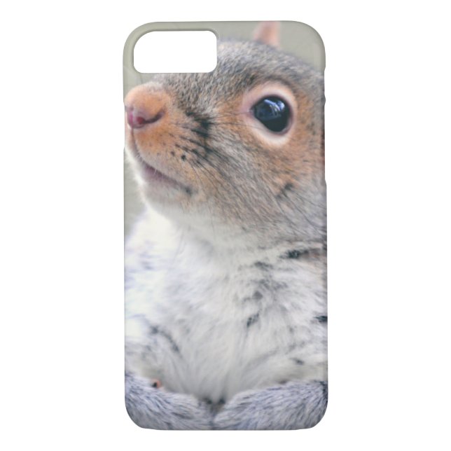 Niedliches, weiches und flauschiges, graues Eichhö Case-Mate iPhone Hülle (Rückseite)