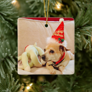 Niedliches Weihnachten Chihuahua Rote Keramik Orna Keramikornament