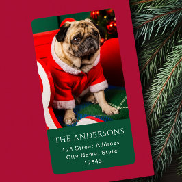 Niedliches Weihnachts-Peppy-Hund Haustier Foto Lov