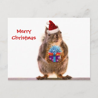 Niedliches Weihnachtshörnchen Feiertagspostkarte