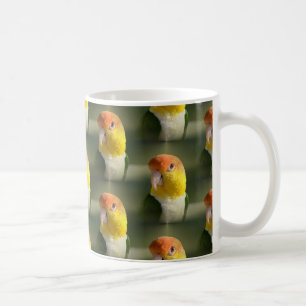 Niedliches Weiß aufgeblähter Caique-Papagei Kaffeetasse