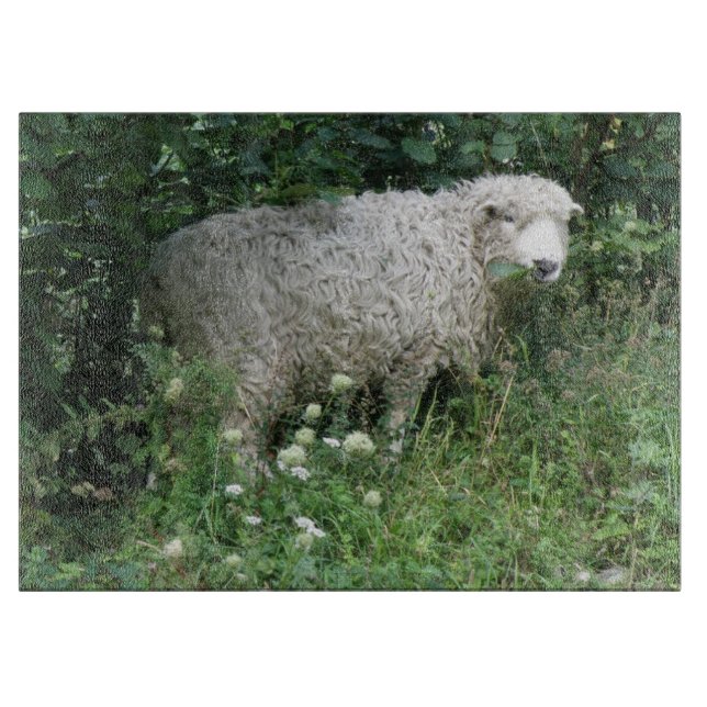 Niedliches weißes Faltenblatt Schneidebrett (Vorderseite)