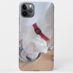 Niedliches weißes Labrador Mix Welpe Dog Trinkwass iPhone 11Pro Max Hülle