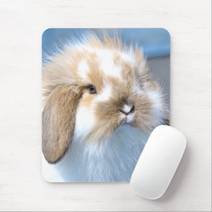 Niedliches weißes und braunes Kaninchen aus Flande Mousepad