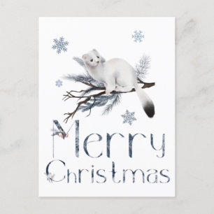 Niedliches Weißwaschtier auf einem Kiefernbaum Postkarte