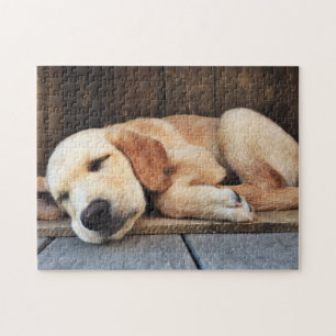 Niedliches Welpengelbes Labrador Puzzle