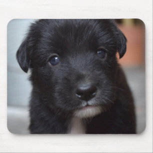Niedliches Welpentier Mousepad